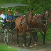aisfor amish buggy rides