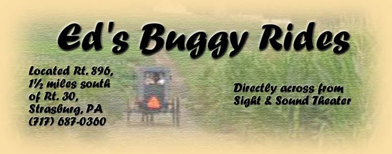 eds buggy rides